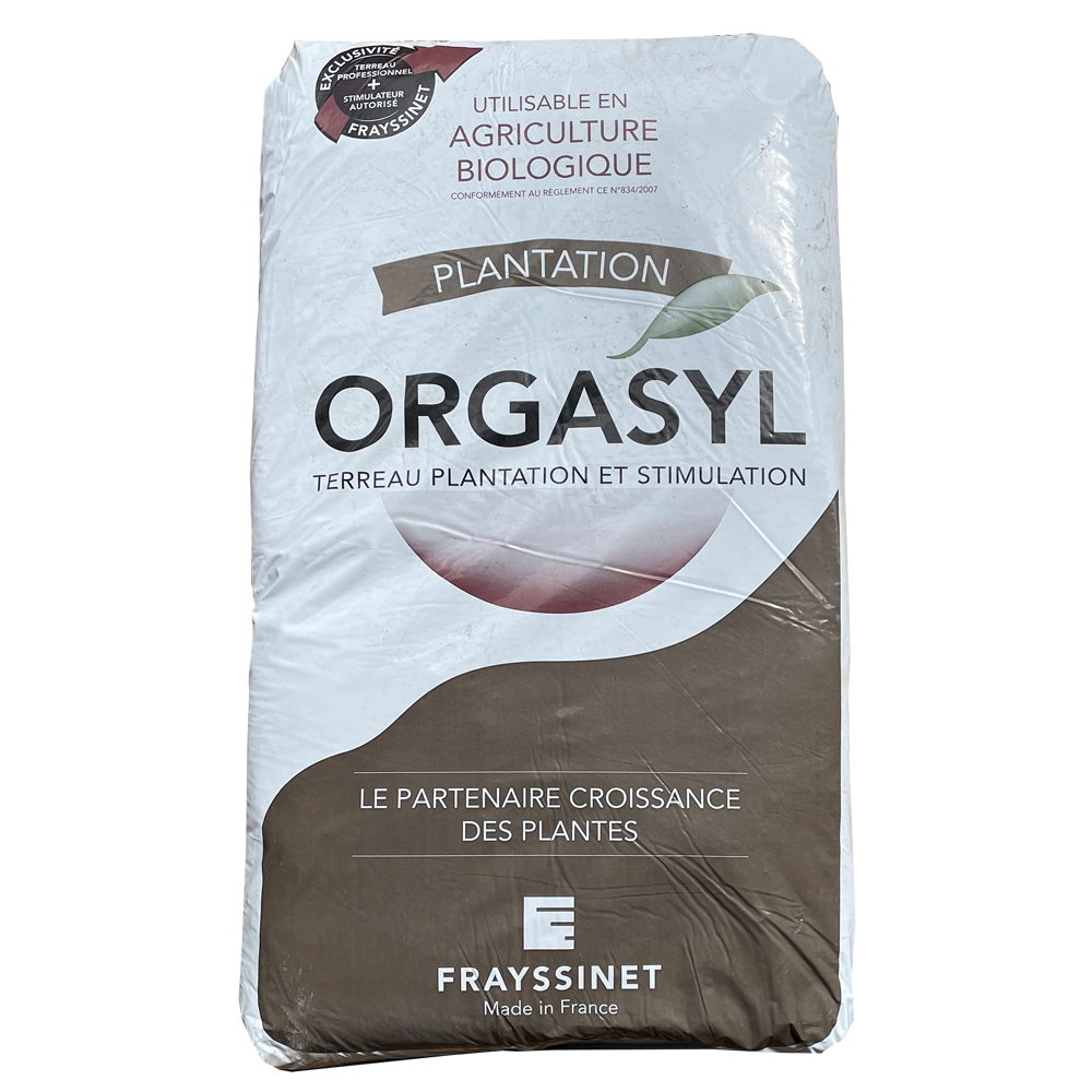 ORGASYL